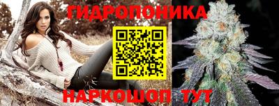 молекула духа Ливны