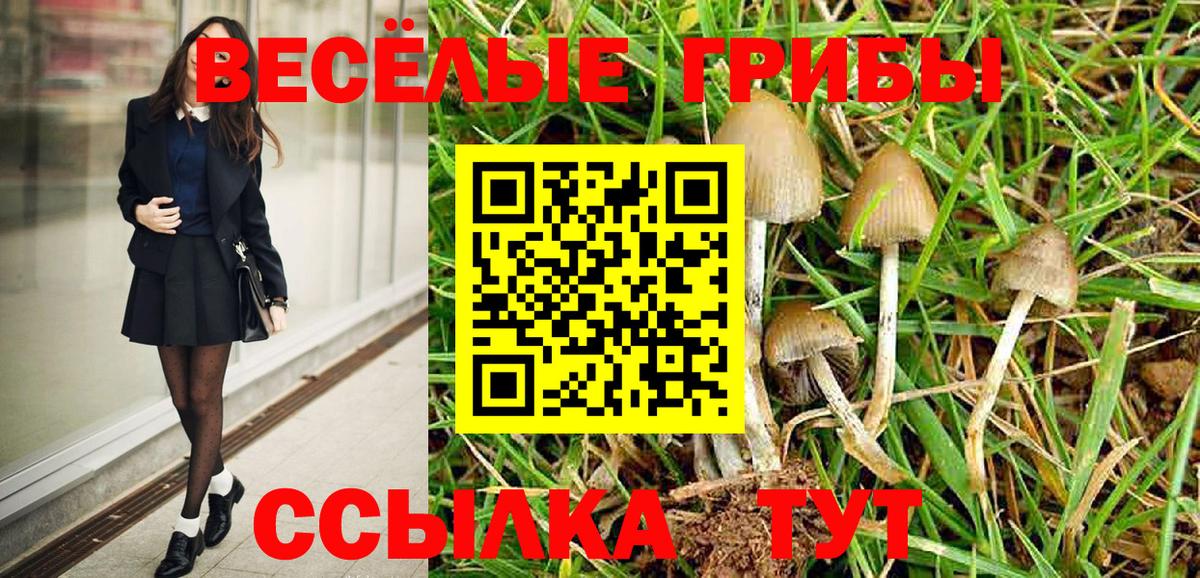 Псилоцибиновые грибы Psilocybine cubensis  Вход с VPN  Сухой Лог 